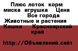 Плюс лоток, корм, миска, игрушка. › Цена ­ 50 - Все города Животные и растения » Кошки   . Красноярский край